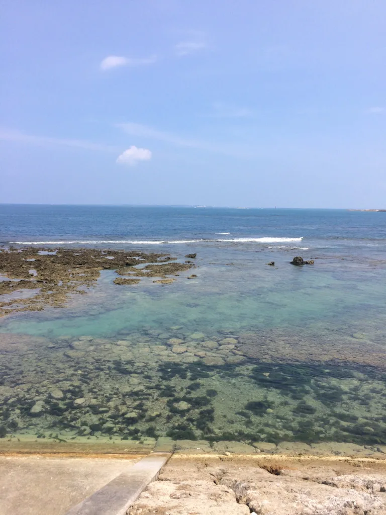 障害者雇用の面接で聞かれること。