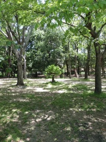 立って歩け、前へ進め。