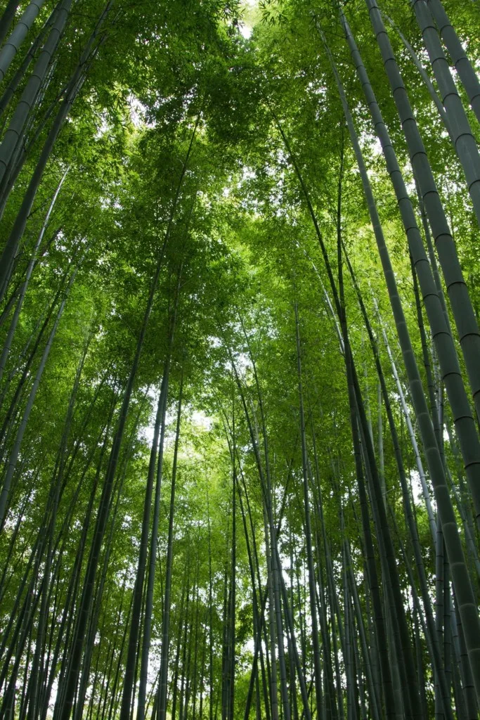 僕のブログ遍歴なんかを語ろうか。
