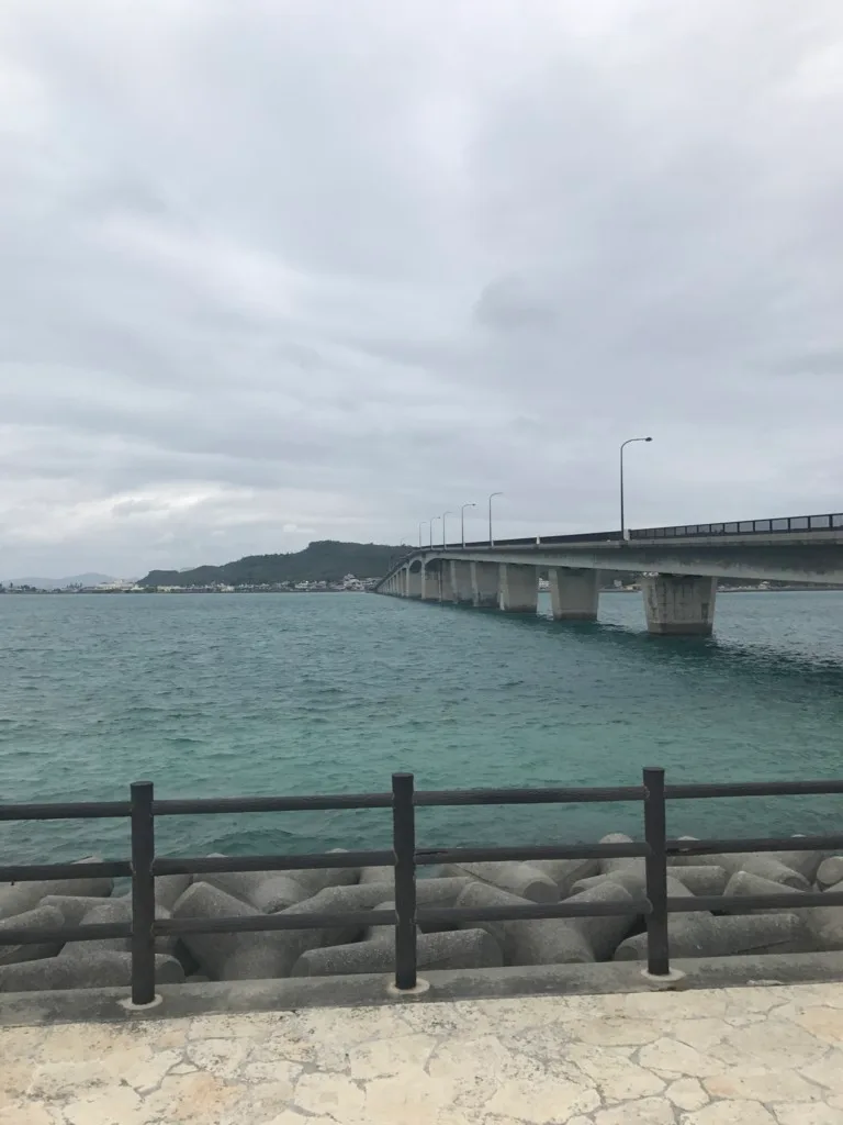 うーん、ただの酔っ払いだぞ今の僕は。