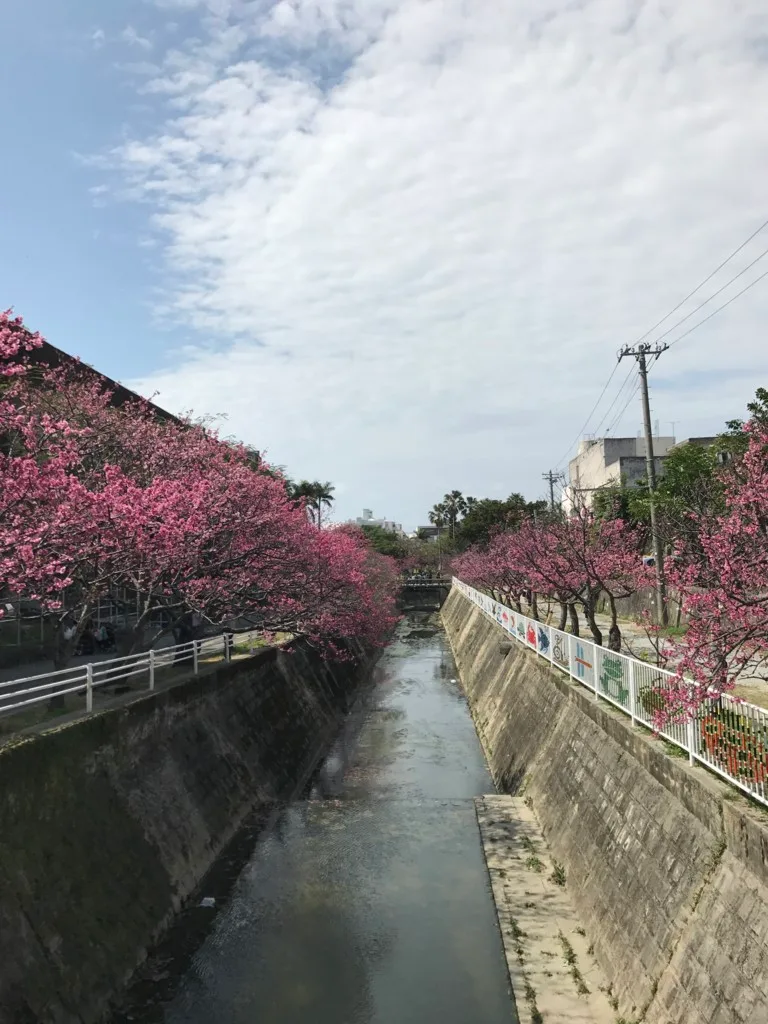 ハルキストと呼ばれて恥をかかないようにする方法。