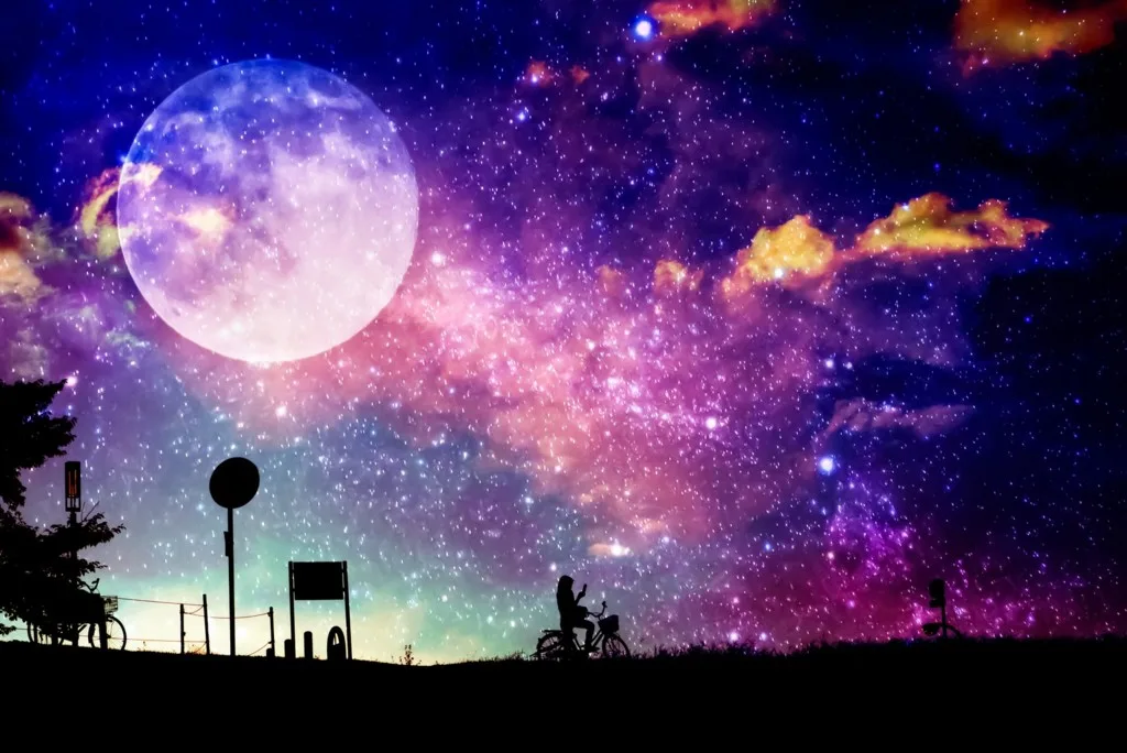 大好きすぎて最終回から逃げた作品がある。