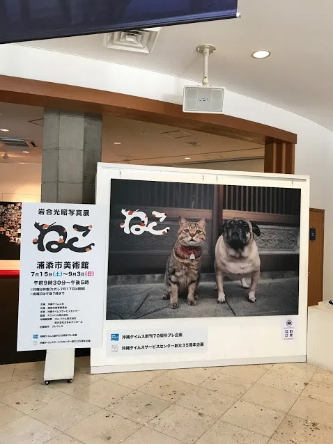 岩合光昭写真展「ねこ」に行ってきた。