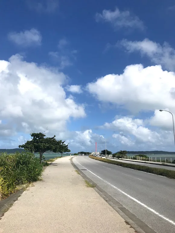 バスに揺られてフラフラと。