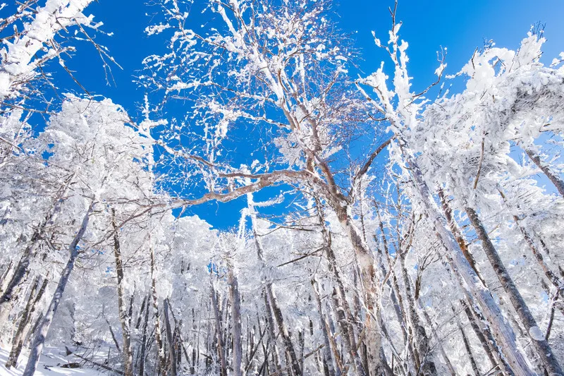 【質問箱への回答】記事フッターに質問箱へのリンクを配置する方法を説明しときます。