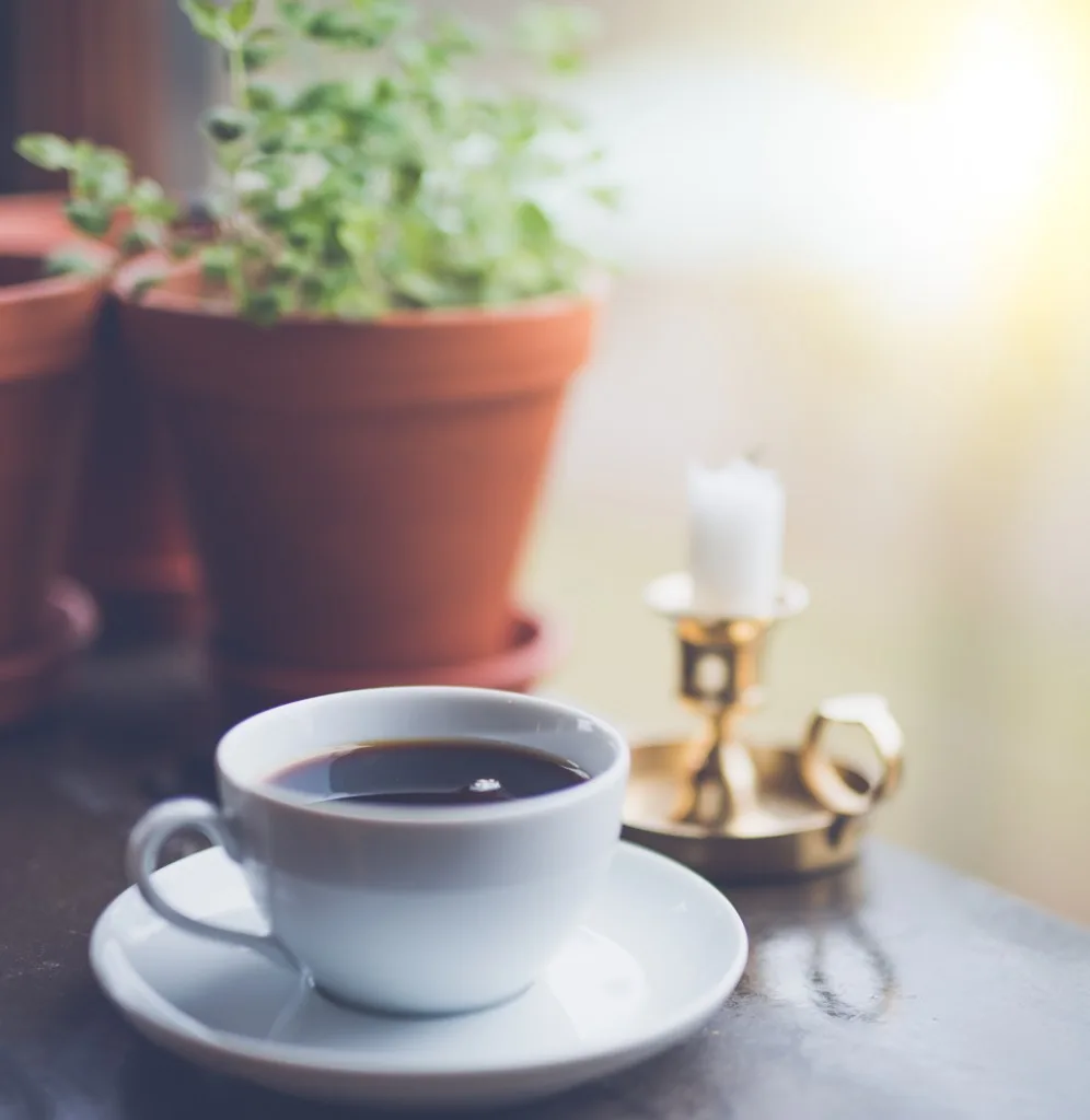 宜野湾の「YAMADA COFFEE OKINAWA」に行った。