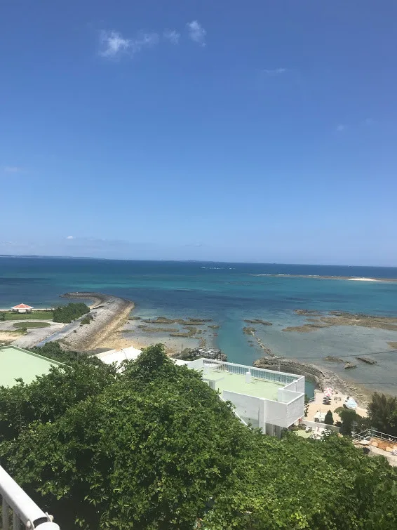 ５月１３日は「母の日」なんで祝ってやった。
