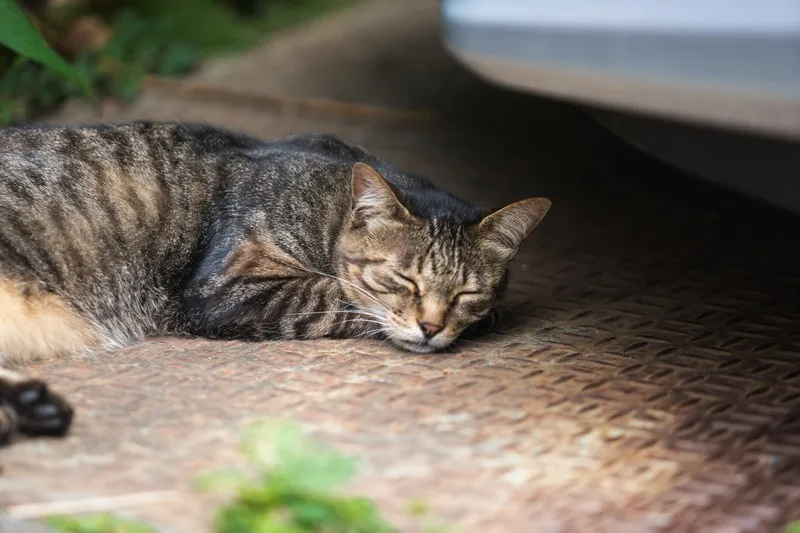 【質問への回答】僕は調子を崩さないようにリズム正しい生活を心がけてます。
