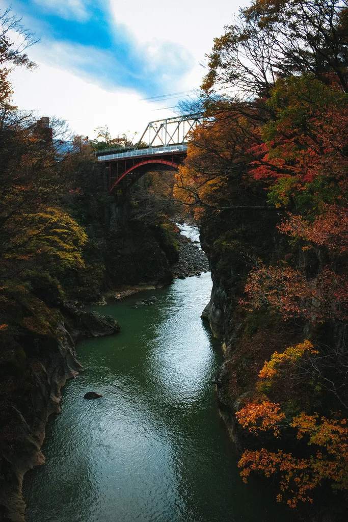 僕の秋冬の過ごし方。