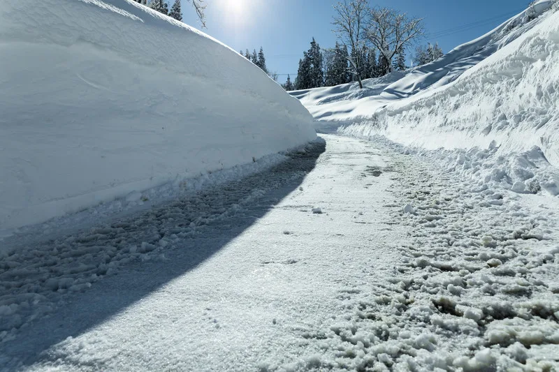沖縄県民的な「雪」で思いつく事、徒然。