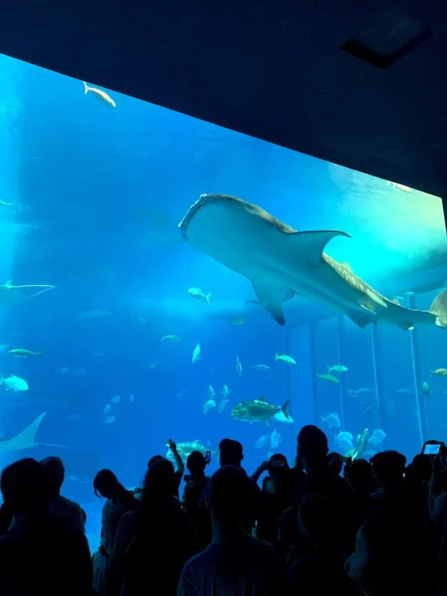 第二回目の沖縄旅行の総括。