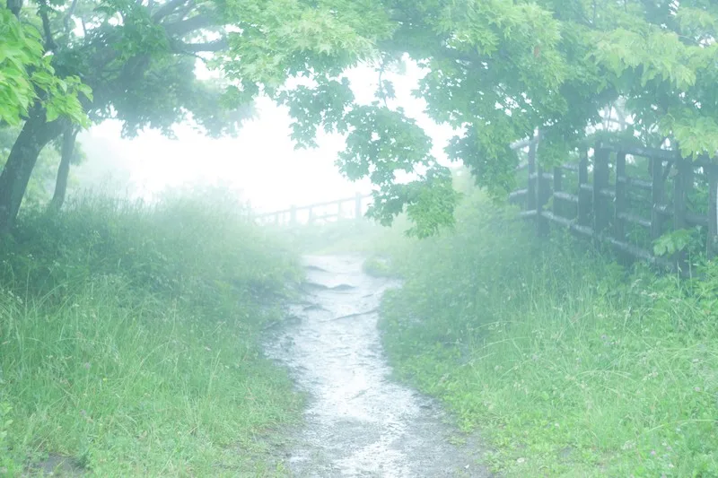 東方二次創作小説を脱稿したので紹介しておこう。