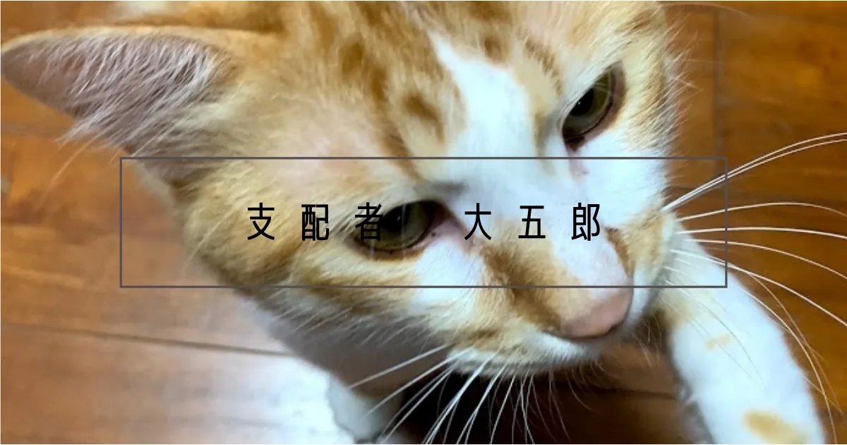 これから世界を支配する予定の大五郎くんについて。