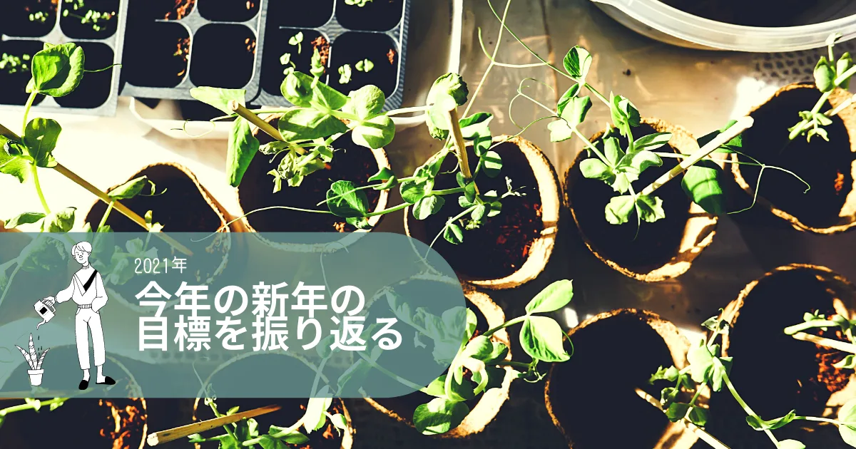 ３月はじめなので２０２１年新年の抱負を振り返るとする。