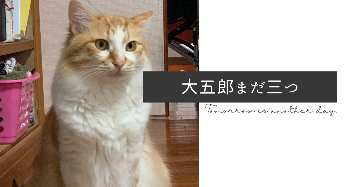 大五郎さん生誕3周年感謝祭