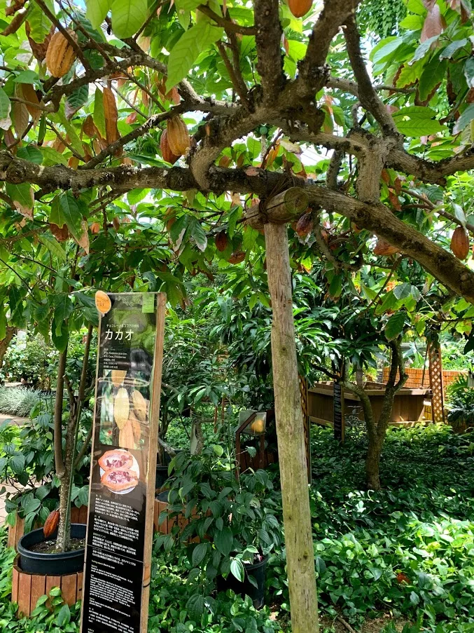 f:id:yuki_2021:20210718203653p:plain