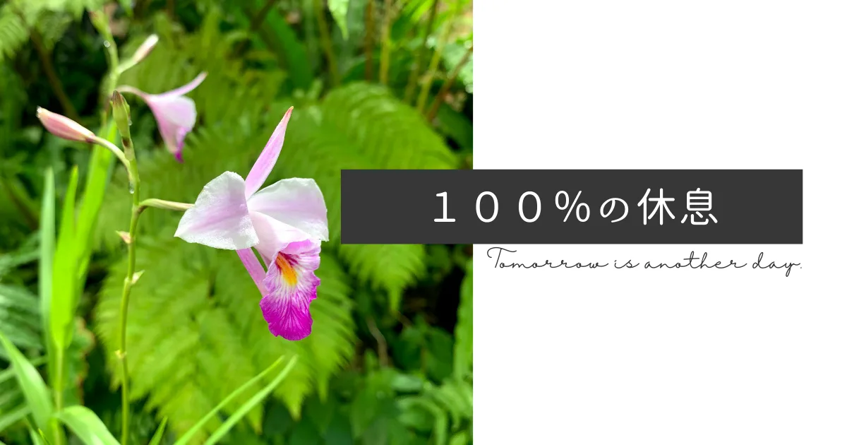 気をつけて「純度１００％の休息」を取るようにしたい。