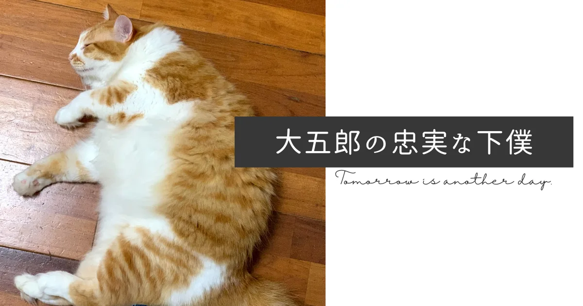 大五郎さんの忠実な下僕の文章。
