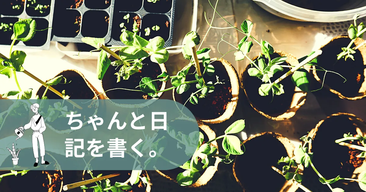 もっと新鮮に日常を切り取ったエントリーを書いていきたい。