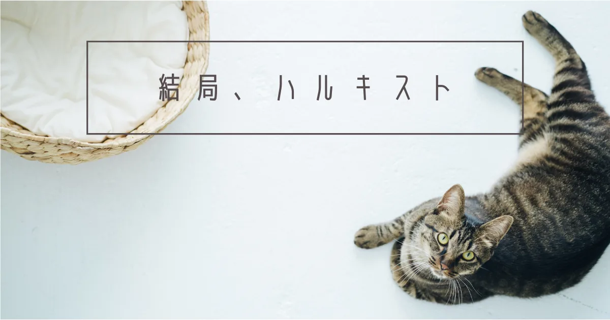 なんやかんやで結局、村上春樹が好きなんですよね。