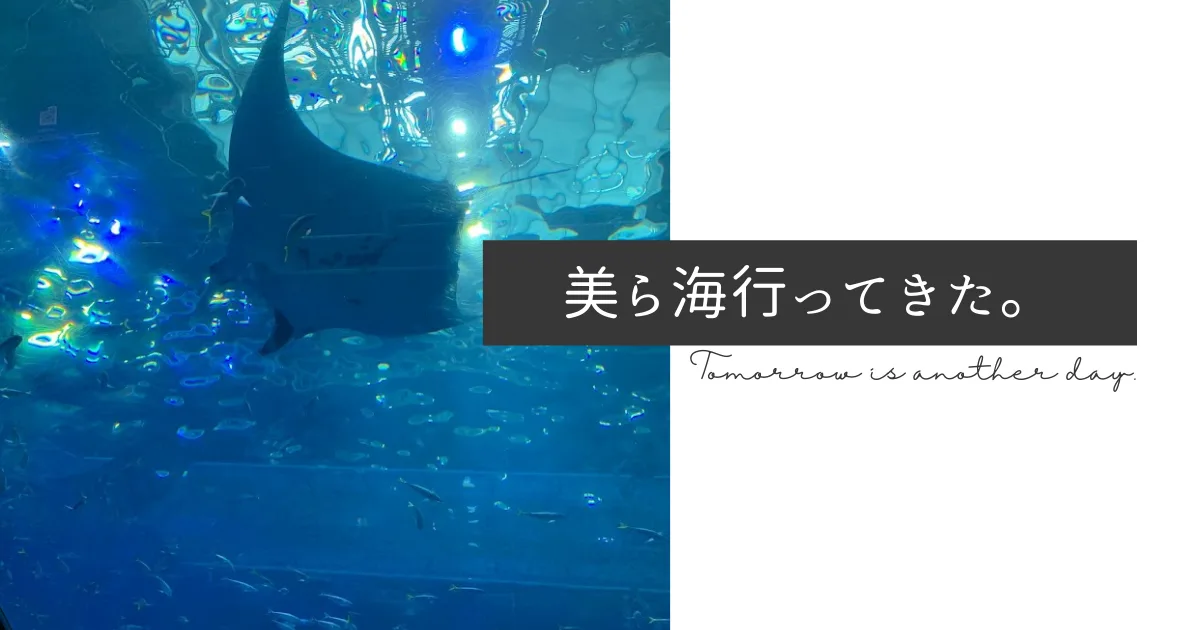 正月は美ら海水族館に行ってきた。