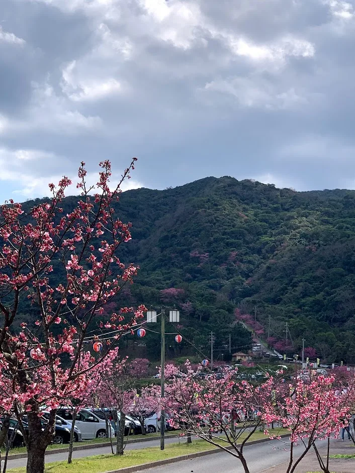 f:id:yuki_2021:20220206220348p:plain