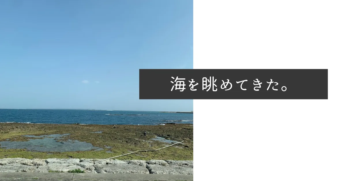 休日なので海を眺めてきた。