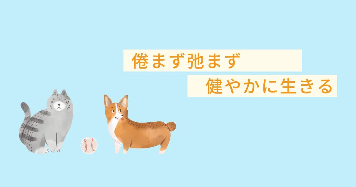 倦まず弛まず歩き続けること。