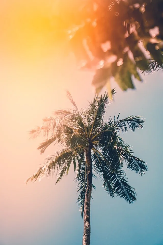 この夏場にエアコンなしで過ごすのは無理がある。。