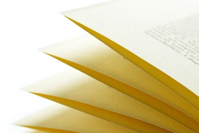 少しは他所ゆきの文章も書くべきかと思った。