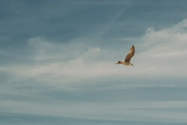 どうにも自分自身の行動に対して自信がないところがある。