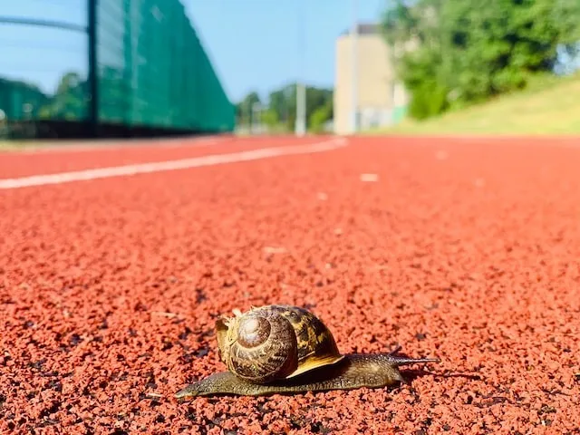 ヤケクソにならずにスローペースで生きることだね。