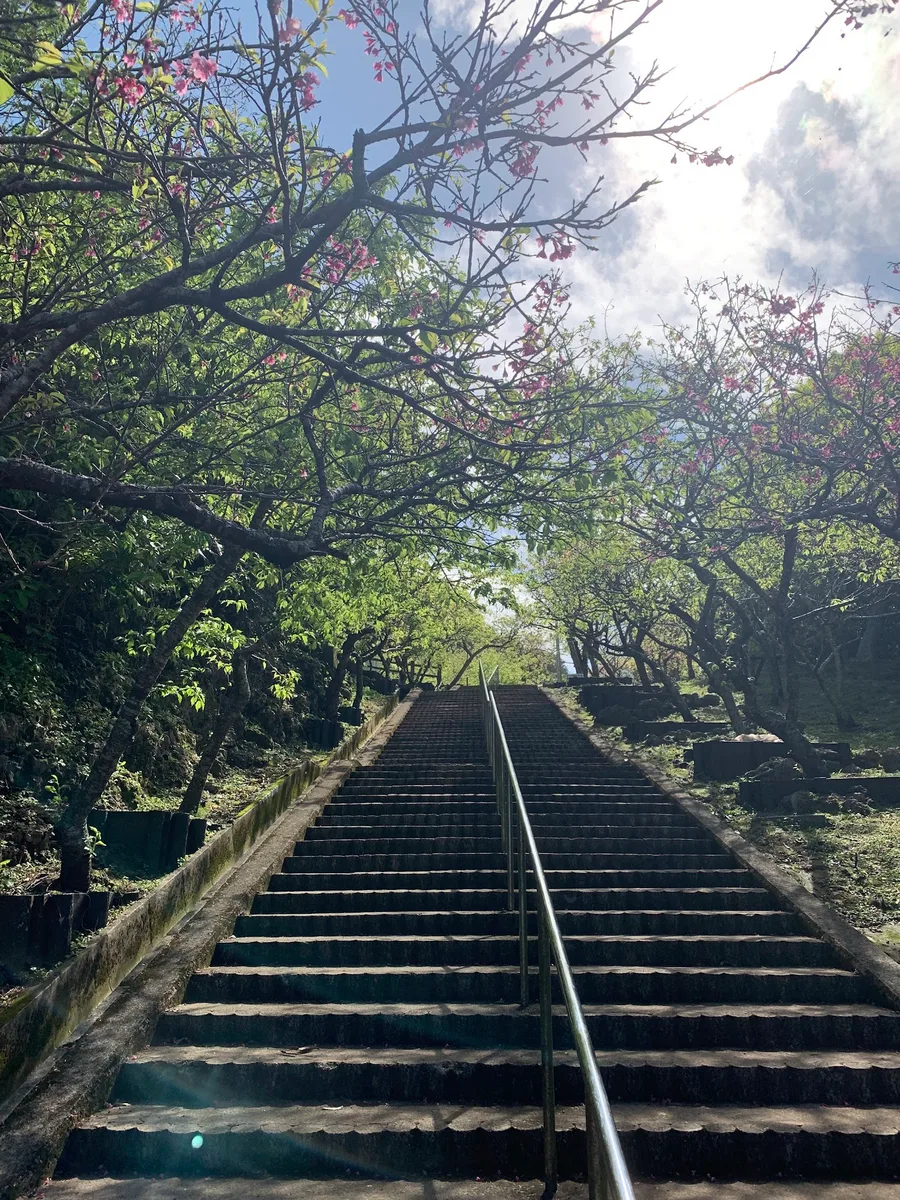 ブログに自分で撮った写真を使うのを増やそうと思った。