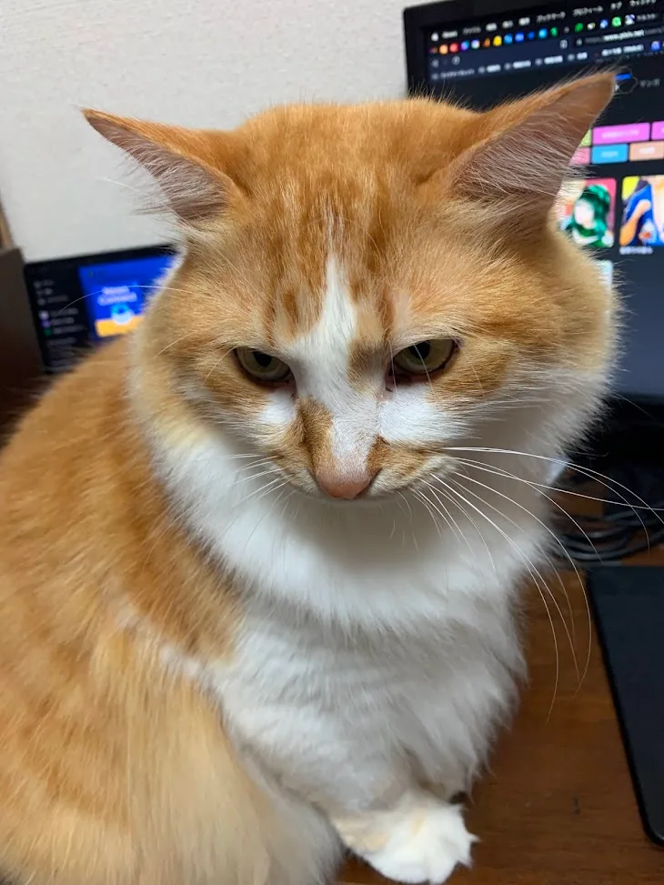 メモをする習慣とメモを使う習慣は二つでセットである。