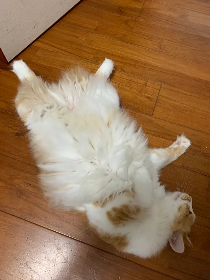 自分の生きる理由なんかを考えてしまうね。