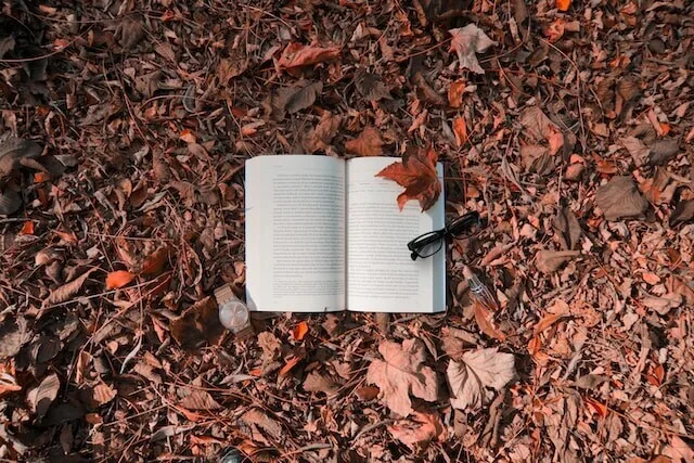 自分の半生を小説にするのをやってみたいんだよね。
