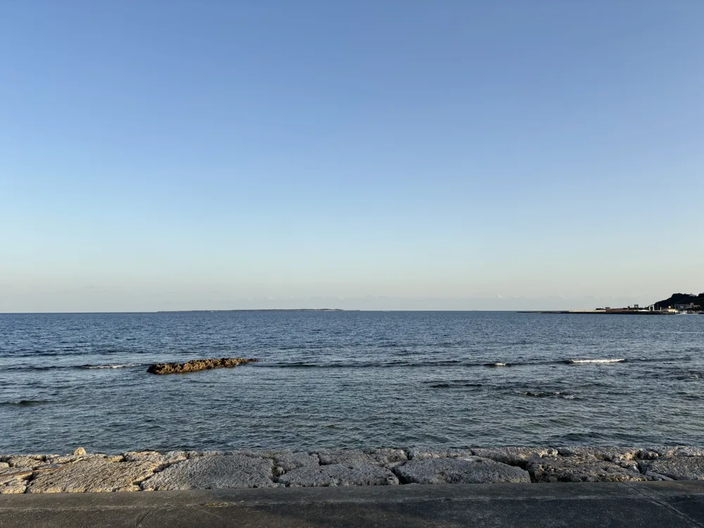 なんか、いろんなものがものすごく嫌になった。